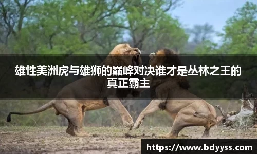 BBIN宝盈